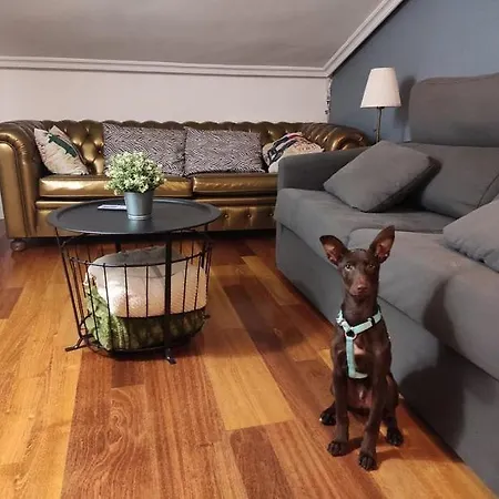 La Casa De La Luna 아파트