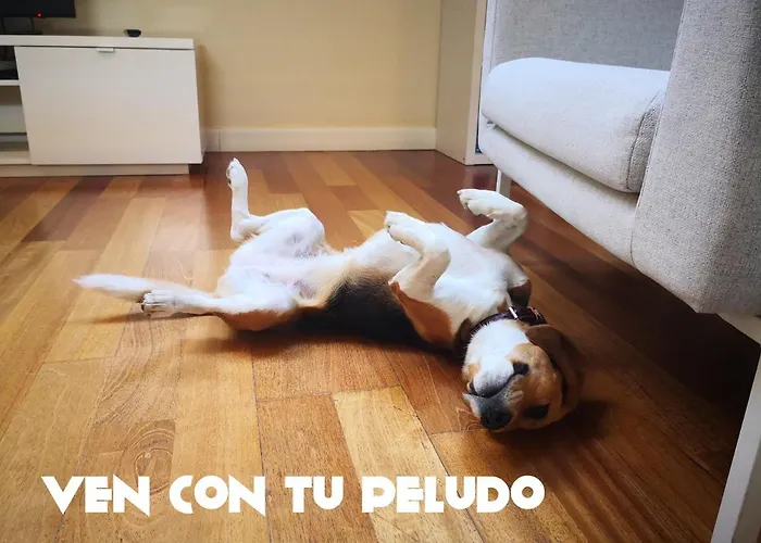 La Casa De La Luna 아파트